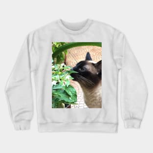 Vegan Siamese cat Crewneck Sweatshirt